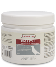 Digestal Powder 300 grams